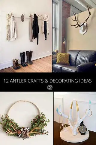 From Crafting to Home Decor: Exciting Ideas for Your Found Deer Antler