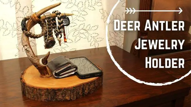 Unleash Your Creativity with a Recently Discovered Deer Antler: Inspiring Ideas