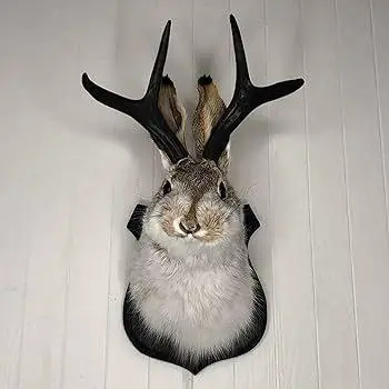 The Art of Taxidermy: Exploring the Beauty of Deer Head Wall Mounts