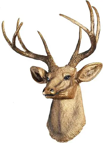 5. The Beauty of Taxidermy: Identifying a Deer Head Mount