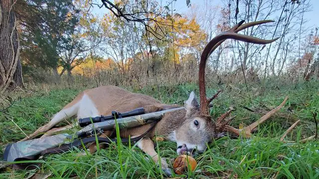 Ensuring a Clean and Quick Kill: Tips for Dropping a Deer Instantly