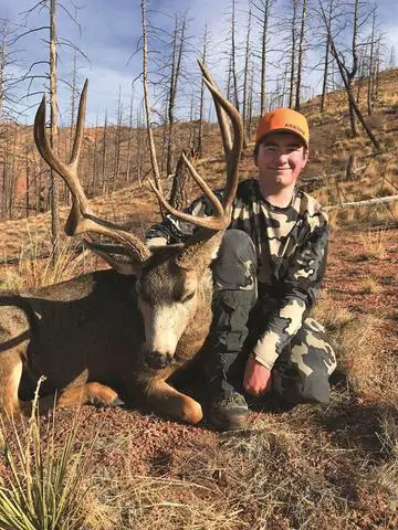 5. No Preference Points Needed: Over-the-Counter Permits for Mule Deer Hunting in Colorado