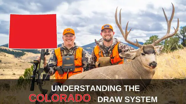 6. Simplified Process: Getting an Over-the-Counter Permit for Mule Deer Hunting in Colorado