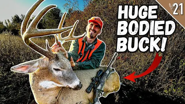 The Ultimate Guide to Sneaking Up on Deer with a Bow: Insider Tips and Tricks