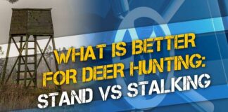 Stalking vs Stand Hunting: Pros and Cons for Deer Hunting