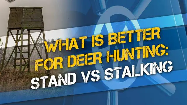 5. Evaluating Approaches: The Differences Between Stalking and Stand Hunting for Deer