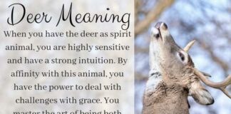 The Spiritual Meaning of Deer: Uncovering the Mystical Significance