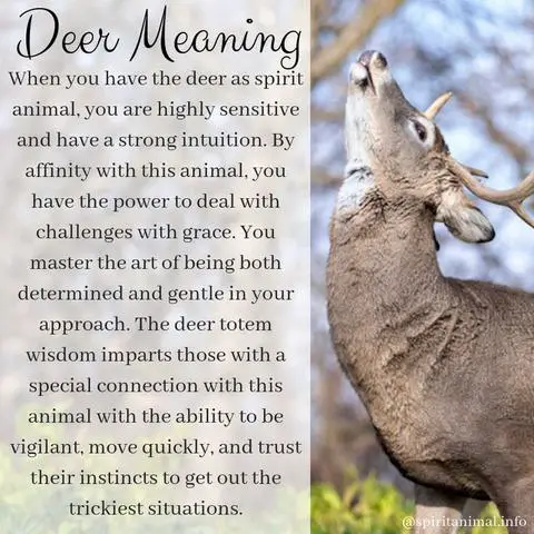 Exploring the Spiritual Meaning Behind the Appearance of a Deer