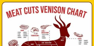Backstrap vs. Tenderloin in Deer Meat: What’s the Differences?