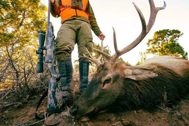 Dress for Success: Top Hunting Clothing Picks for Elk Hunters