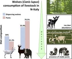 Dietary Flexibility of Wolves: Insights into Their Consumption of Deer