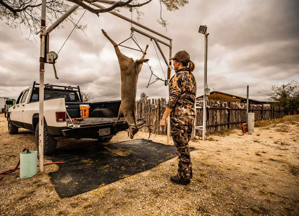 h1 Maximize Your Harvest: Discover Creative Uses for Deer Hides