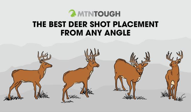2. The Ultimate Guide to Killing a Deer: Tips for Accuracy and Safety