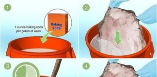 Maximize Your Harvest: Discover Creative Uses for Deer Hides