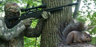 TextBlock(text=”# Squirrel Hunting Season in Georgia: Everything You Need to Know
