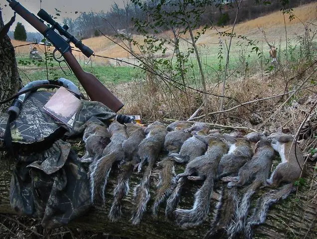 Tips for a Successful Hunt