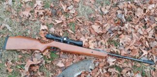 Ruger Air Hawk Review