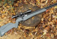 How Far Can a .22 Air Rifle Pellet Travel?