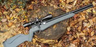 How Far Can a .22 Air Rifle Pellet Travel?