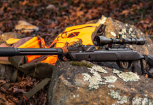 Best Air Rifles Under $200 – Top 5 budget guns for the money (Reviews and Buying Guide 2025)