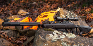 Best Air Rifles Under $200 – Top 5 budget guns for the money (Reviews and Buying Guide 2026)