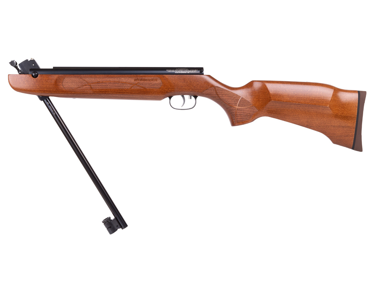 50s4 Best Air Rifles for Pest Control 2024 - Top 10 effective guns for the money (Reviews and Buying Guide)