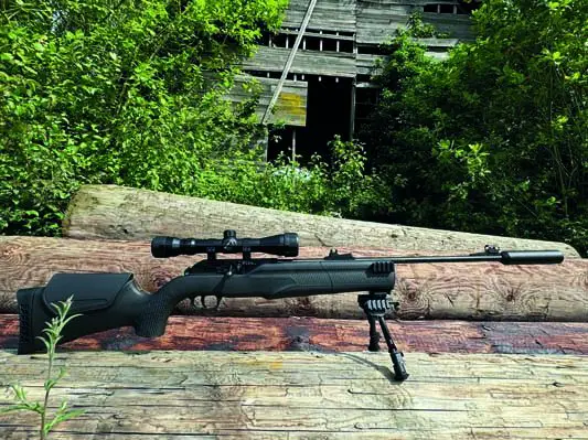 850m2 Best Air Rifles for Pest Control 2024 - Top 10 effective guns for the money (Reviews and Buying Guide)