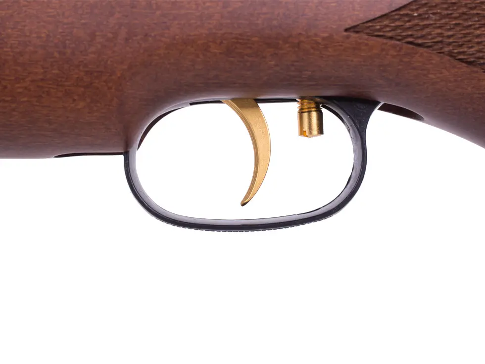 BN 1039A R9 ZM10 Best .22 Air Rifles - Top 10 fantastic guns for the money (Reviews and Buying Guide 2024)