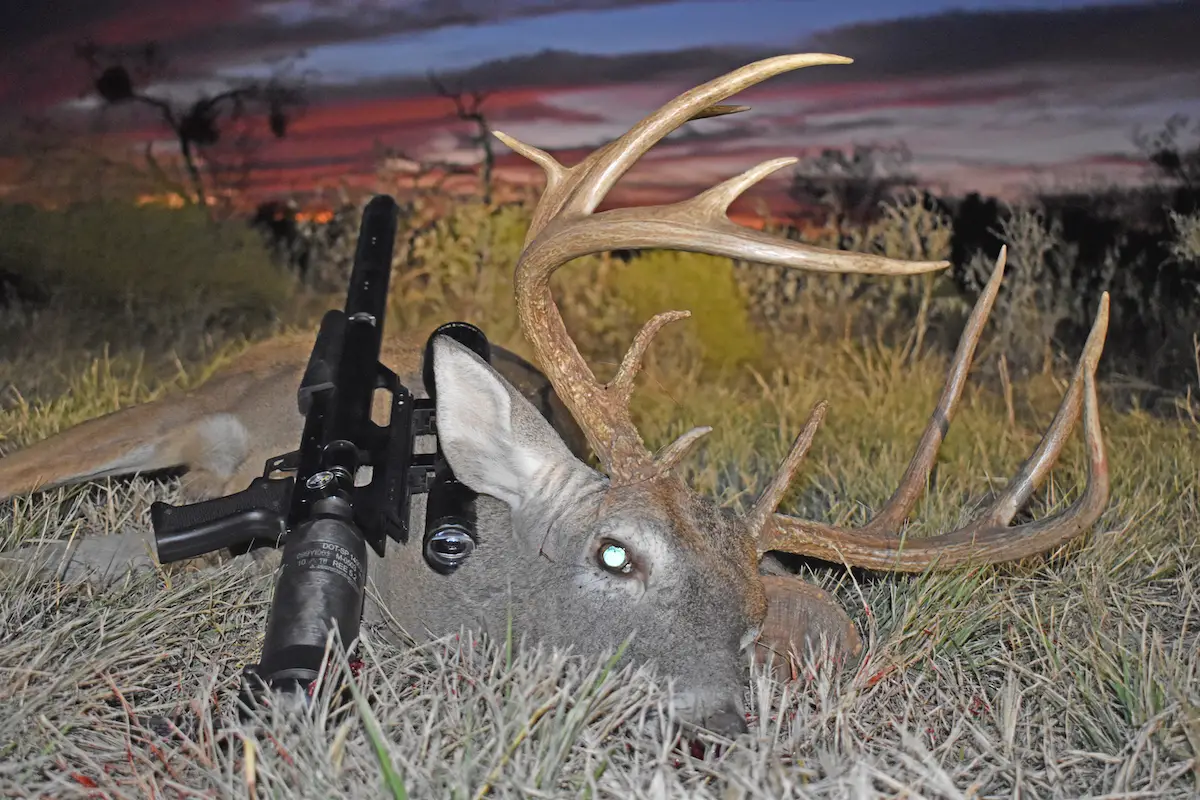 LUKES DALE RIVER BUCK 1 Best .50 Caliber Air Rifles - Top 5 Hard-hitting Pellet Guns for Big Games (Reviews and Buying Guide 2024)