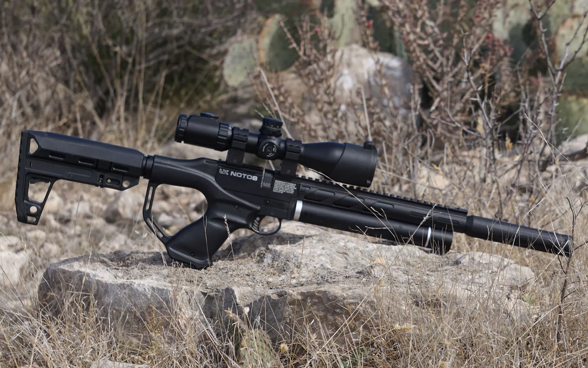 NOTOS Best Air Rifles Under $300 (Reviews and Buying Guide 2024)