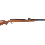 PY-1204_Diana-RWS-460-Magnum_1550698661