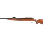 PY-1204_Diana-RWS-460-Magnum_1550698666