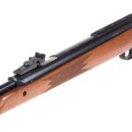 PY-1204_Diana-RWS-460-Magnum_1550698672