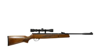 Hatsan 95 Walnut Stock Review