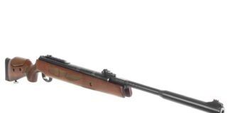 Hatsan 135 QE Vortex Review