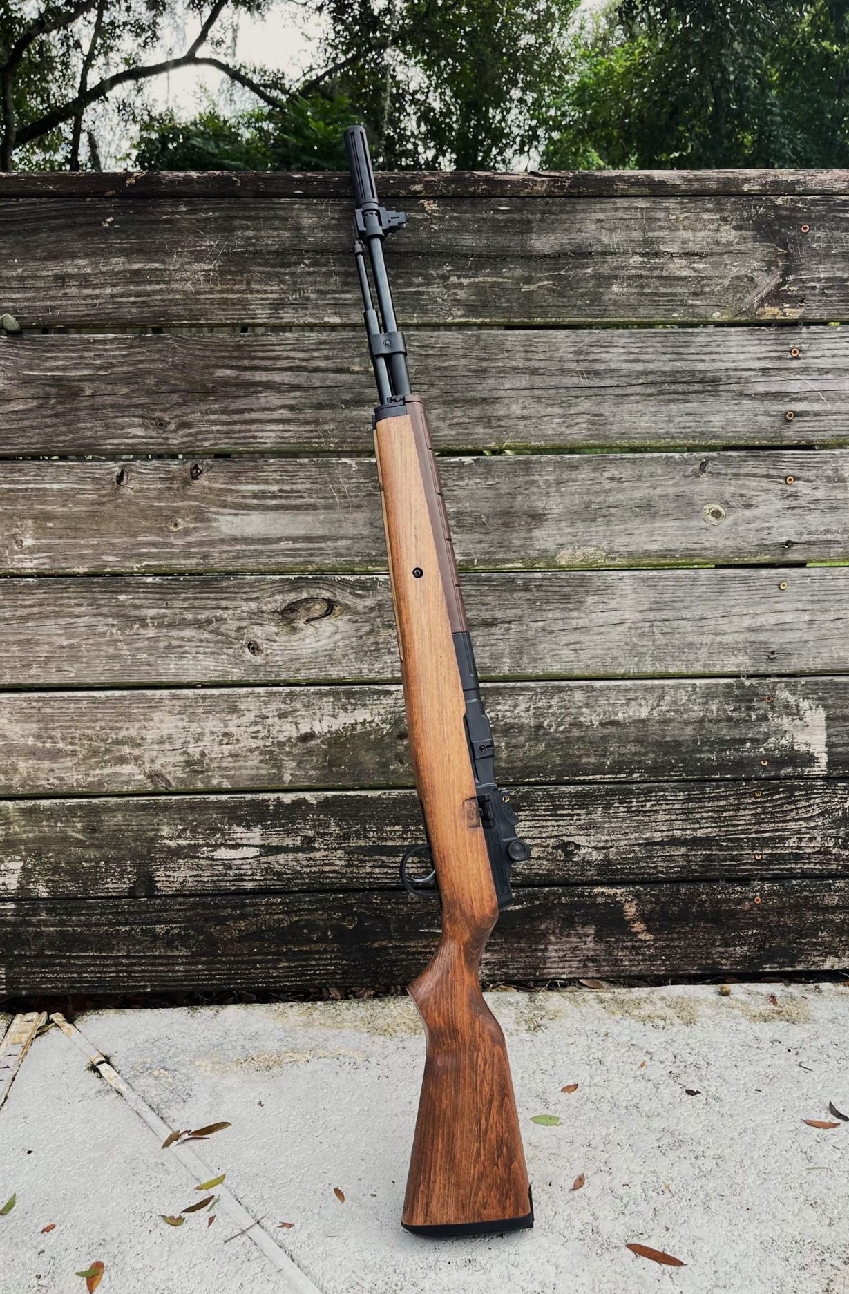 PicofpicM1A Springfield Armory M1A Review