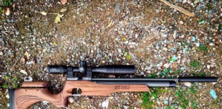 .22 vs .25 Air Rifle: The Ultimate Comparison Guide