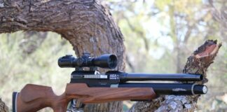 Best Air Rifles – The Most Exciting Guns to Have (Reviews and Buying Guide 2026)