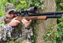 How Does an Air Rifle Work?