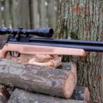 5 Types of Air Guns You Need to Know Before Buying