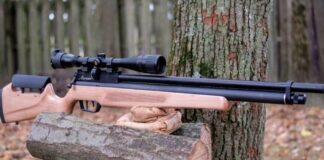 5 Types of Air Guns You Need to Know Before Buying