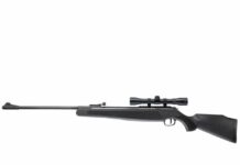 Ruger Air Magnum Review
