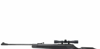 Ruger Air Magnum Review