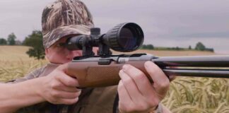 Best Air Rifles Under $300 (Reviews and Buying Guide 2026)
