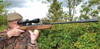 Best Break Barrel Air Rifle That Hits Like A Champ 2026 (Reviews and Buying Guide)