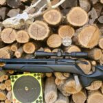Can you dry fire a gamo air rifle?