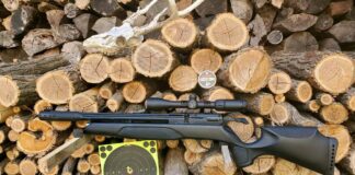 Can you dry fire a gamo air rifle?
