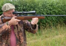 Can a Felon Legally Possess an Air Rifle in Tennessee?