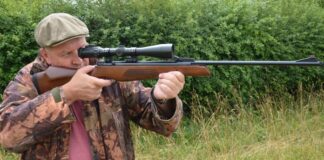 Can a Felon Legally Possess an Air Rifle in Tennessee?