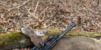 How to choose the right Air Gun Caliber for your game?